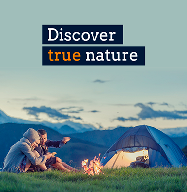 Discover true nature