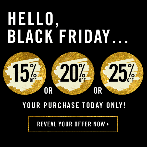 Black-Friday-interactive-newsletter-example